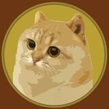 Catto - Portal