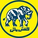 کفش ملی رشت