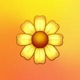 DIE GOLDENE LÖSUNG - Self-Health 2.0