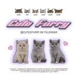 cutefurry GIVE AWAY!