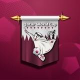 QATAR WORLD CUP™️