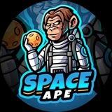 Space Ape Coin Portal