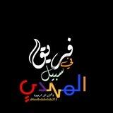 فريق في سبيل المهدي( عج) للاحتياط