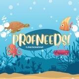 ⋆ ˚｡⋆୨୧˚ Profileneeds