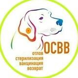 ОСВВ79