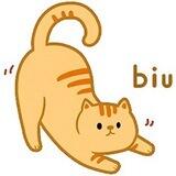 BIU COIN