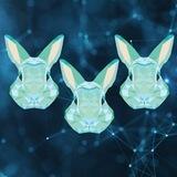 🐰Rabbit Community Notes🐰