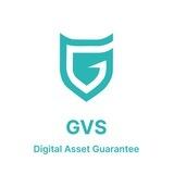 GVS Global Group