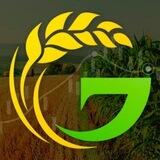 FGI Официальный Чат