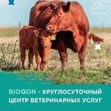 BIOQON - Ветеринарная диагностическая лаборатория