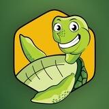 The BNB Turtle’s Portal 🐢