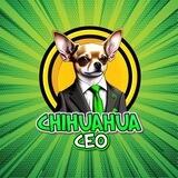 Chihuahua CEO Portal