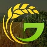 FGI Official Chat