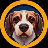 The AKI INU Token
