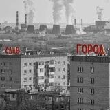 софа вернер и славгород — на wb, на ozon, в чг!