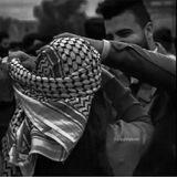 كوفيّة وحُـ𓂆ـب 🇵🇸🕊