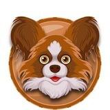 Papillon Token China