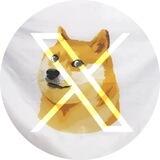 DOGE X