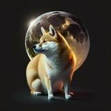 Ordinal Inu