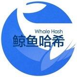哈希玩家交流2群
