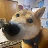 浩宇对接群