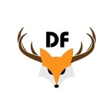 DF Pay商户🛎实时通知群（全年无休）