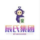 辰氏集团@TGBOSS888