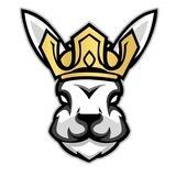 Rabbit King中文社区 | CHN
