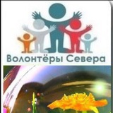 Волонтеры Севера