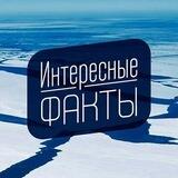 ❗️Интересные Факты❗️
