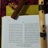 مشق بیدل