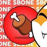 Shiba Bone
