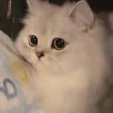 QT收费项目转图/通知