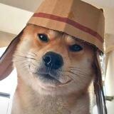 雅俗共赏【隐秘之眼】监控直播