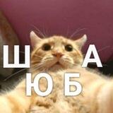Шутки, Юмор, Баяны, Анекдоты
