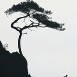 聚源项目频道