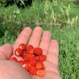 Заметки на полях современности