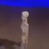 -V-