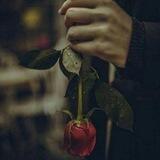 Reyhanetul_huseyn