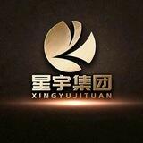 星宇集团