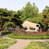 强盛集团-手工短信代发群