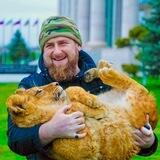 Жизнь жывотных