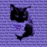 The Unico Cat!