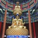 手工短信彩信盘口直招