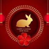 RABBICHINA | 0 TAX | LOCKED | RENOUNCE | 歡迎來到兔子中國快樂 |
