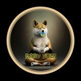 BabyYogiToken