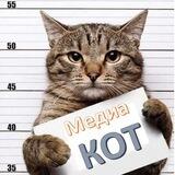 МедиаКОТ