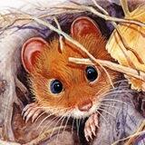 PIC - крипта √ биткоин √ инвестиции √