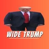 $wTRUMP - Wide Trump - 0% TAX / LP BURNED