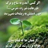 آرام و آگاه باش